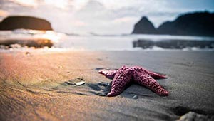 PC微信快捷聊天助手工具源码